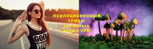 тгк Алзамай
