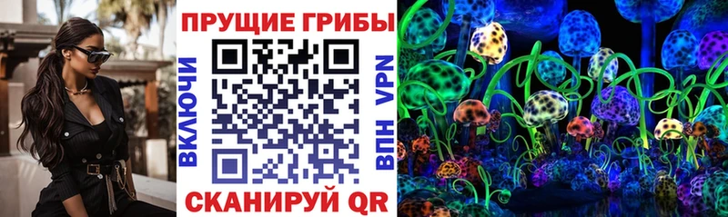 Псилоцибиновые грибы Psilocybine cubensis  Николаевск 